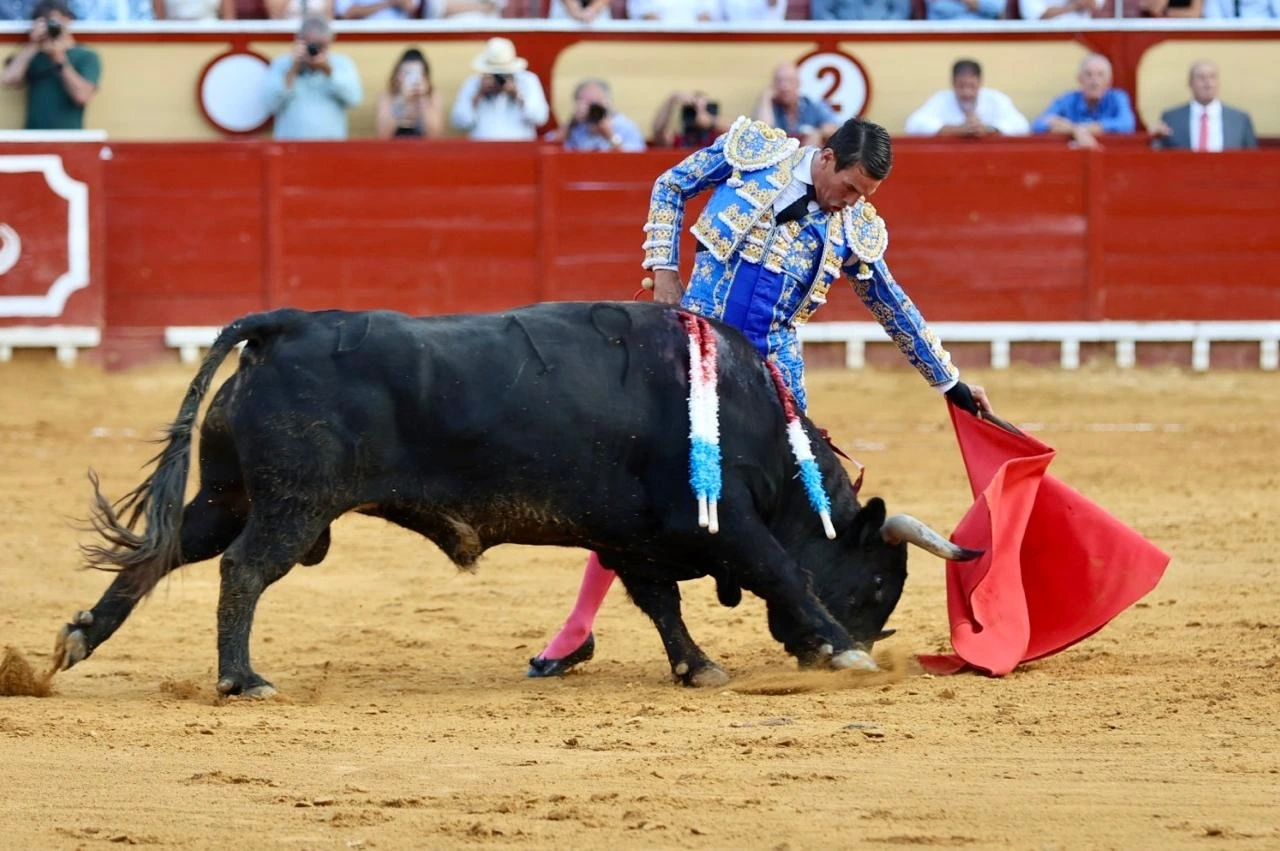 Imagen 7
