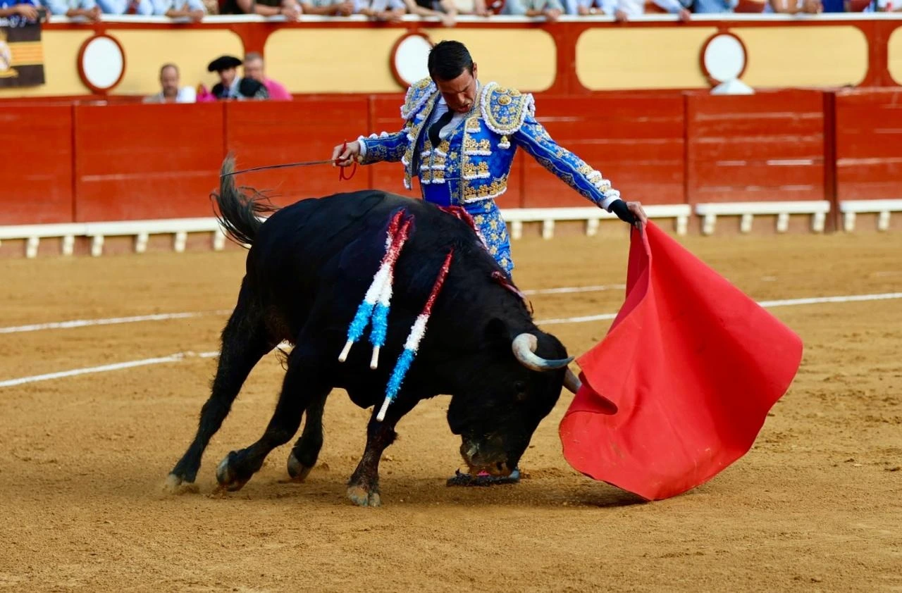 Imagen 10