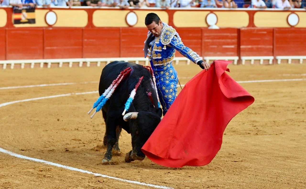 Imagen 11