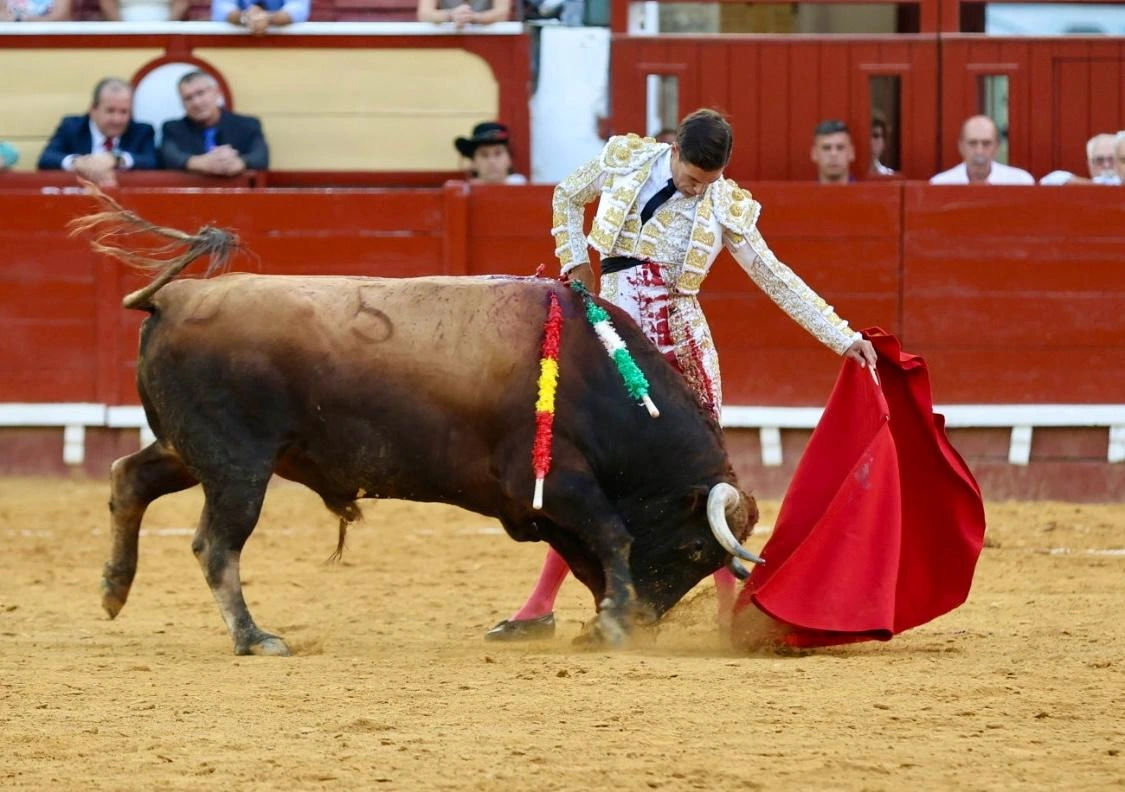 Imagen 13