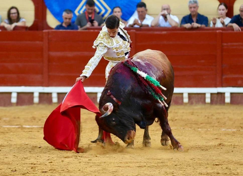 Imagen 14