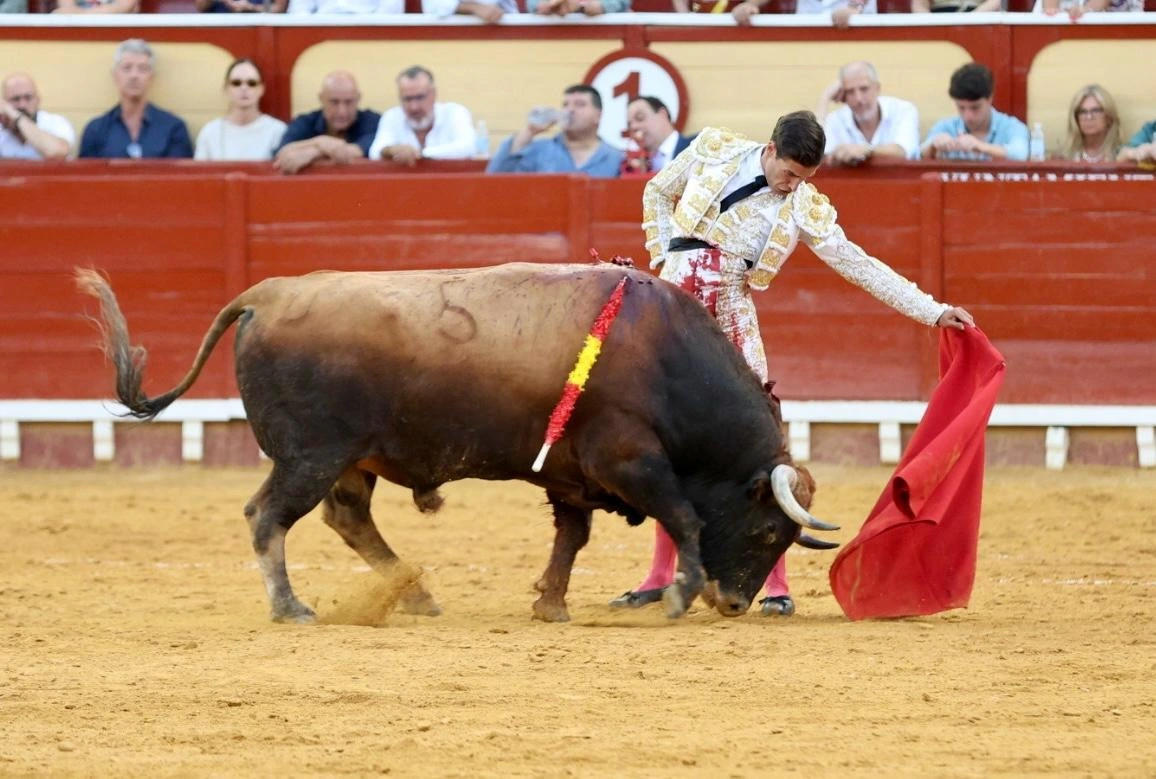 Imagen 15