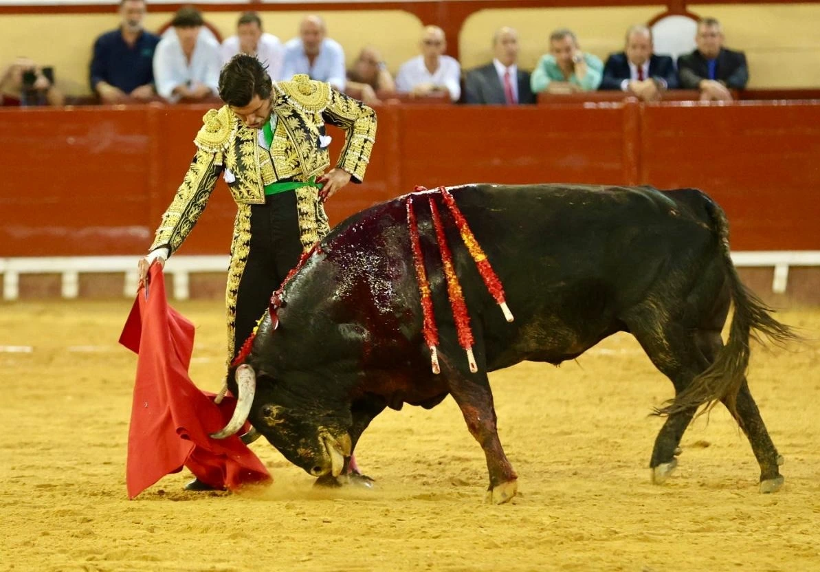 Imagen 18
