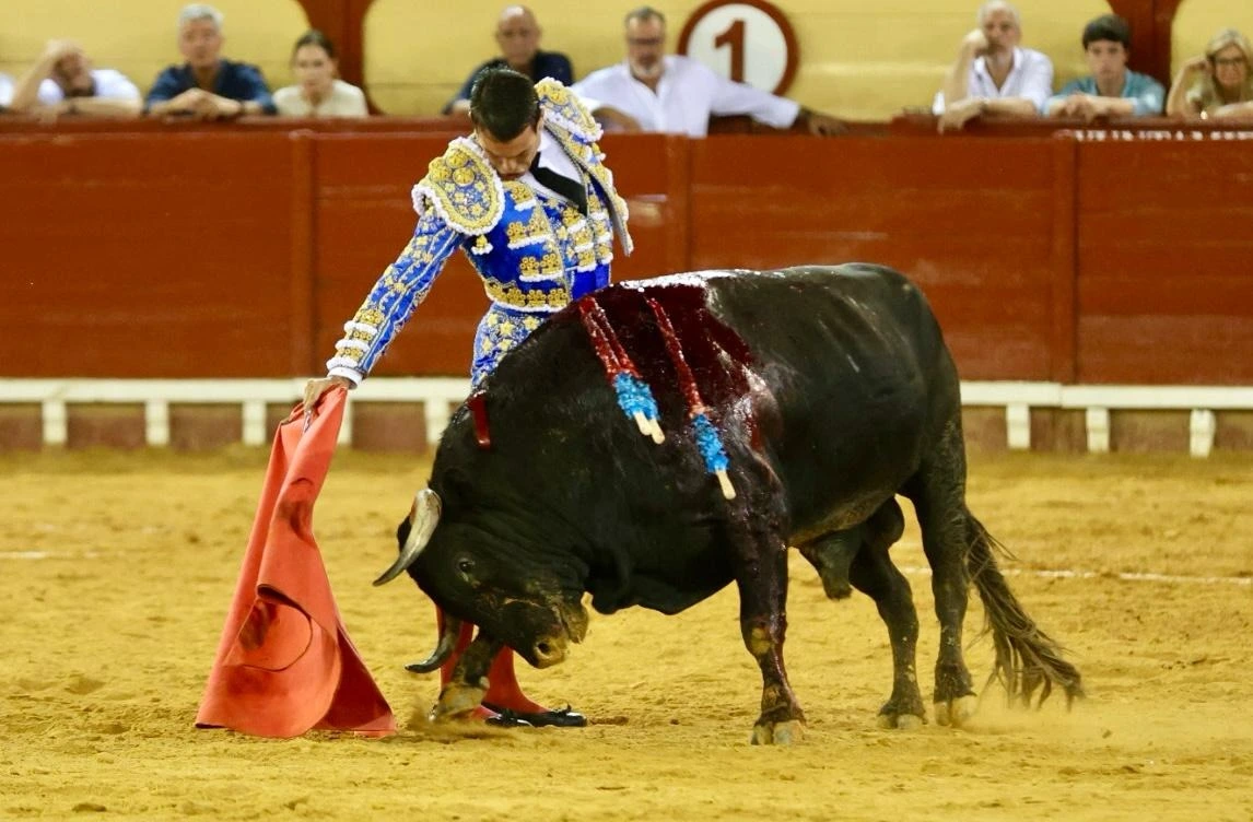 Imagen 21