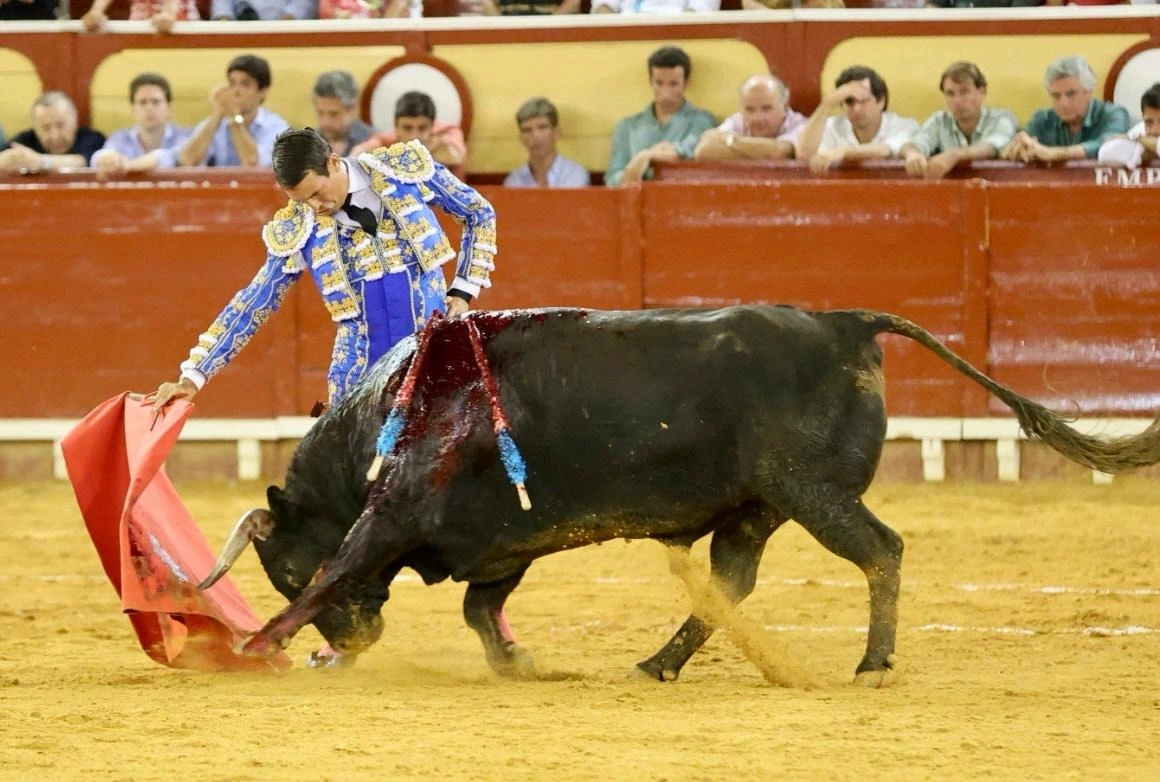 Imagen 22