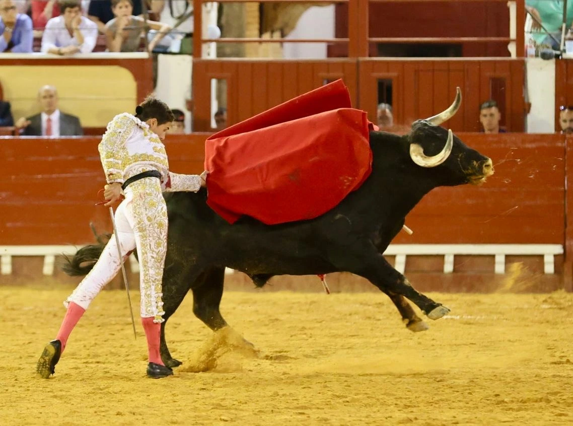 Imagen 25