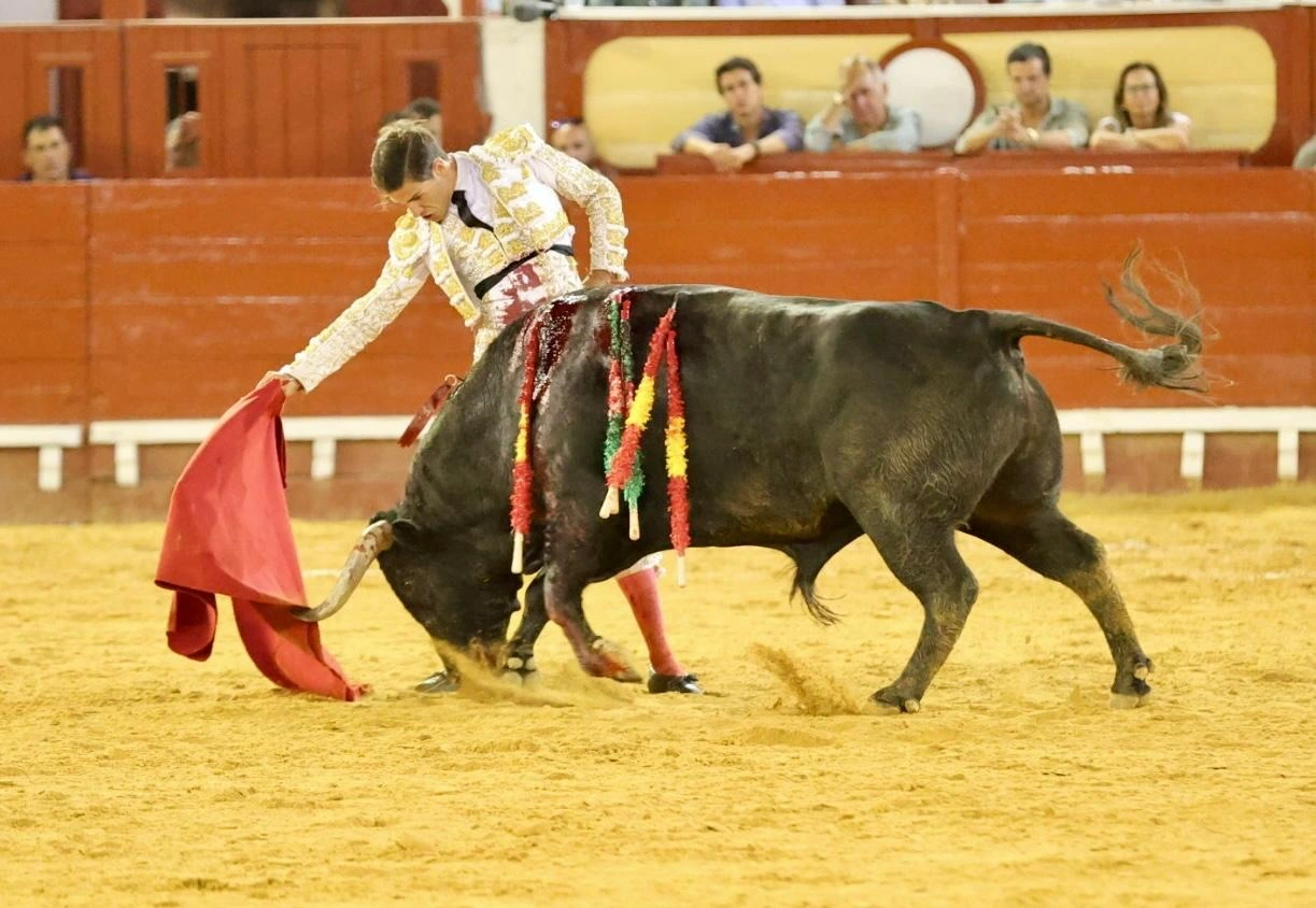 Imagen 26