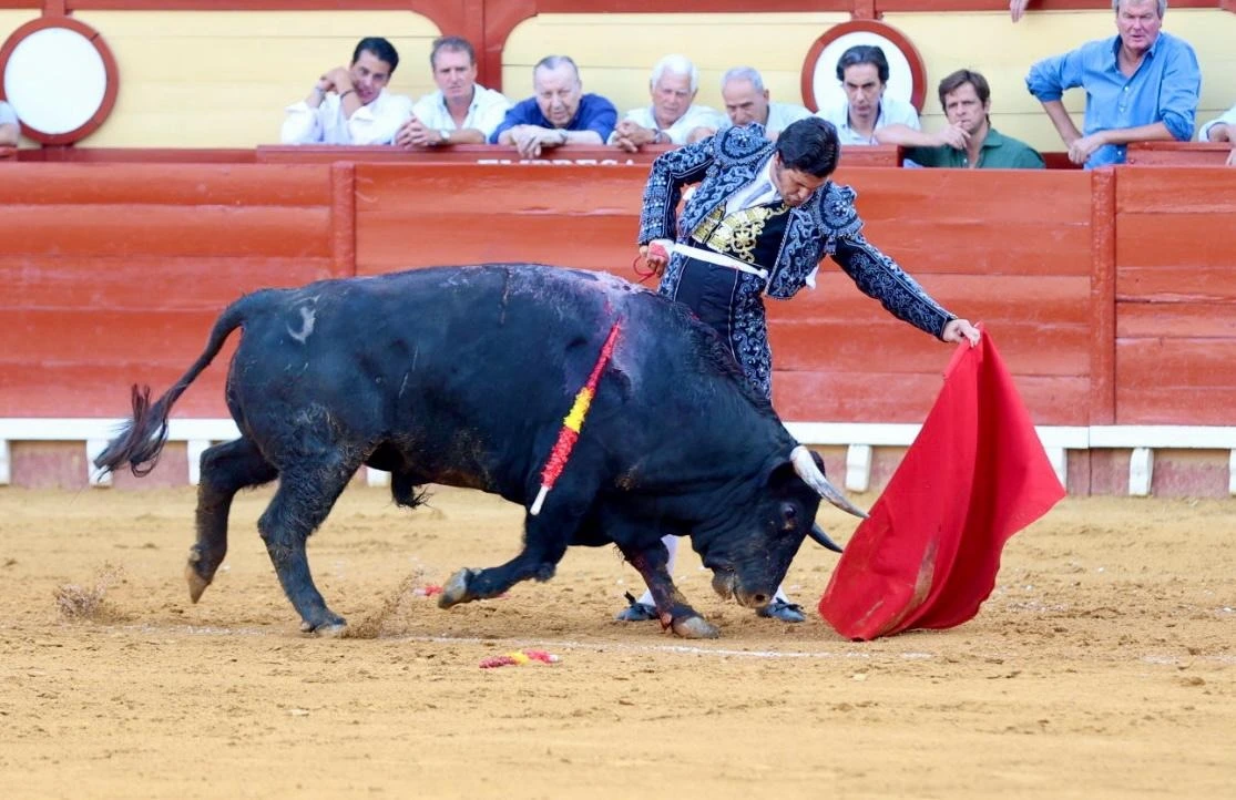 Imagen 2