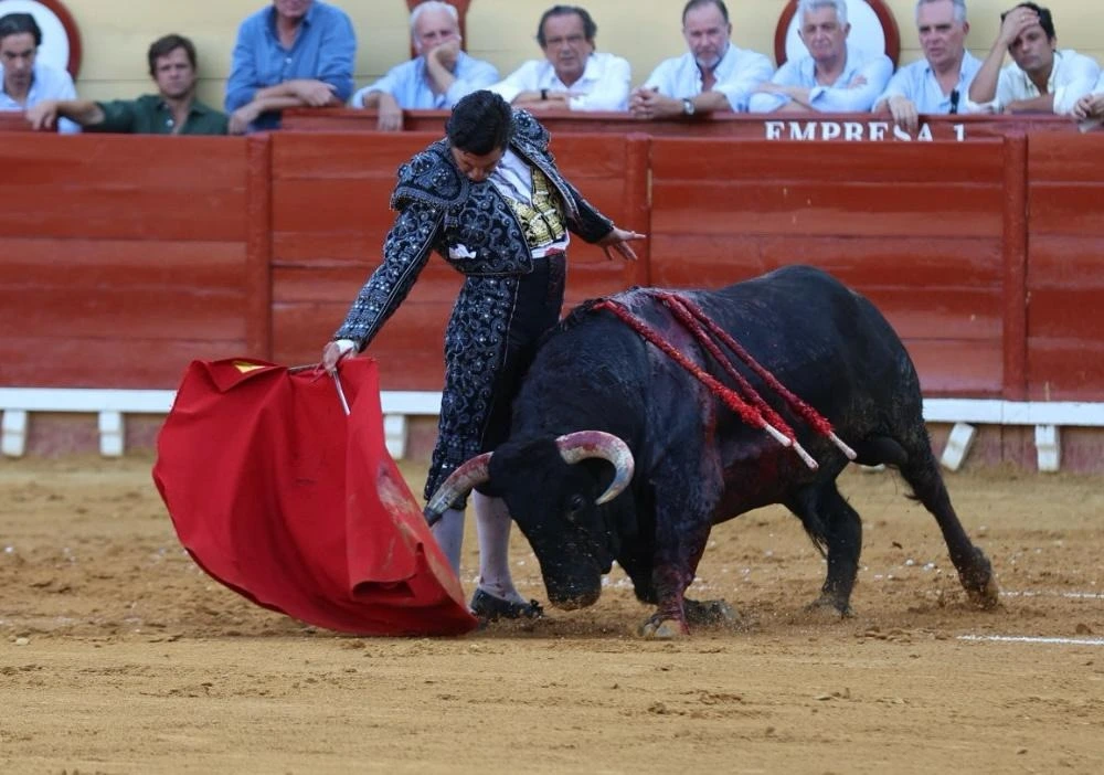 Imagen 3