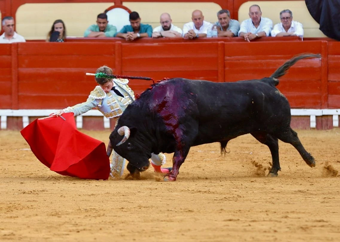Imagen 6