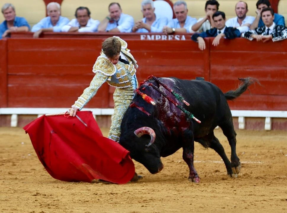 Imagen 7