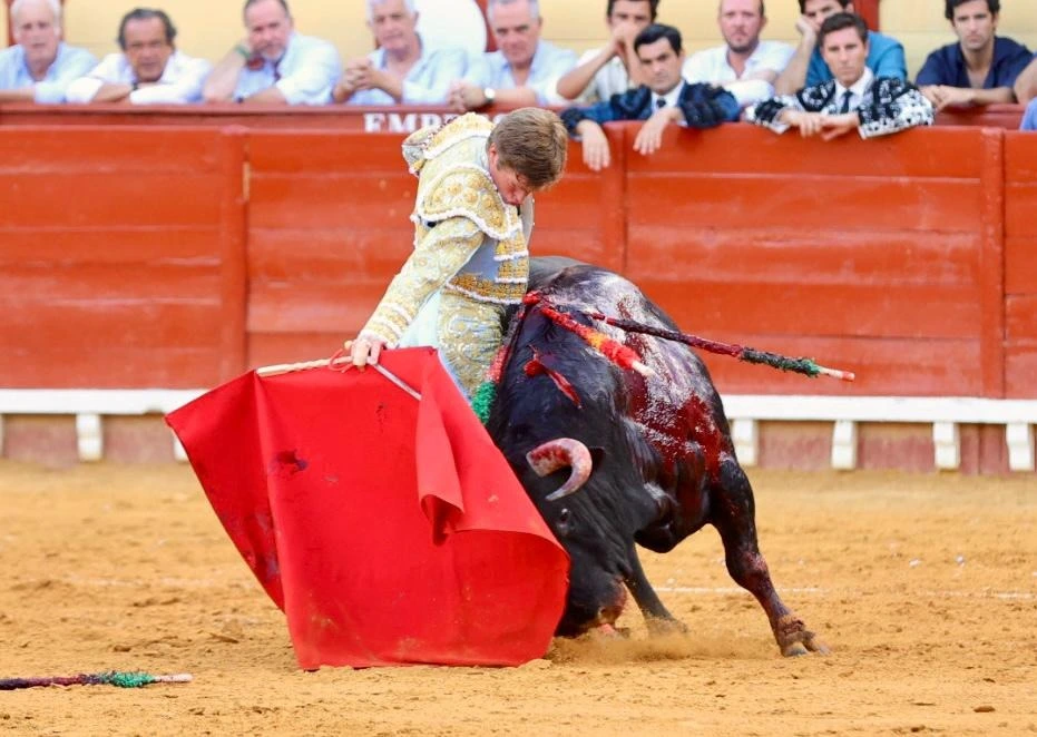 Imagen 8
