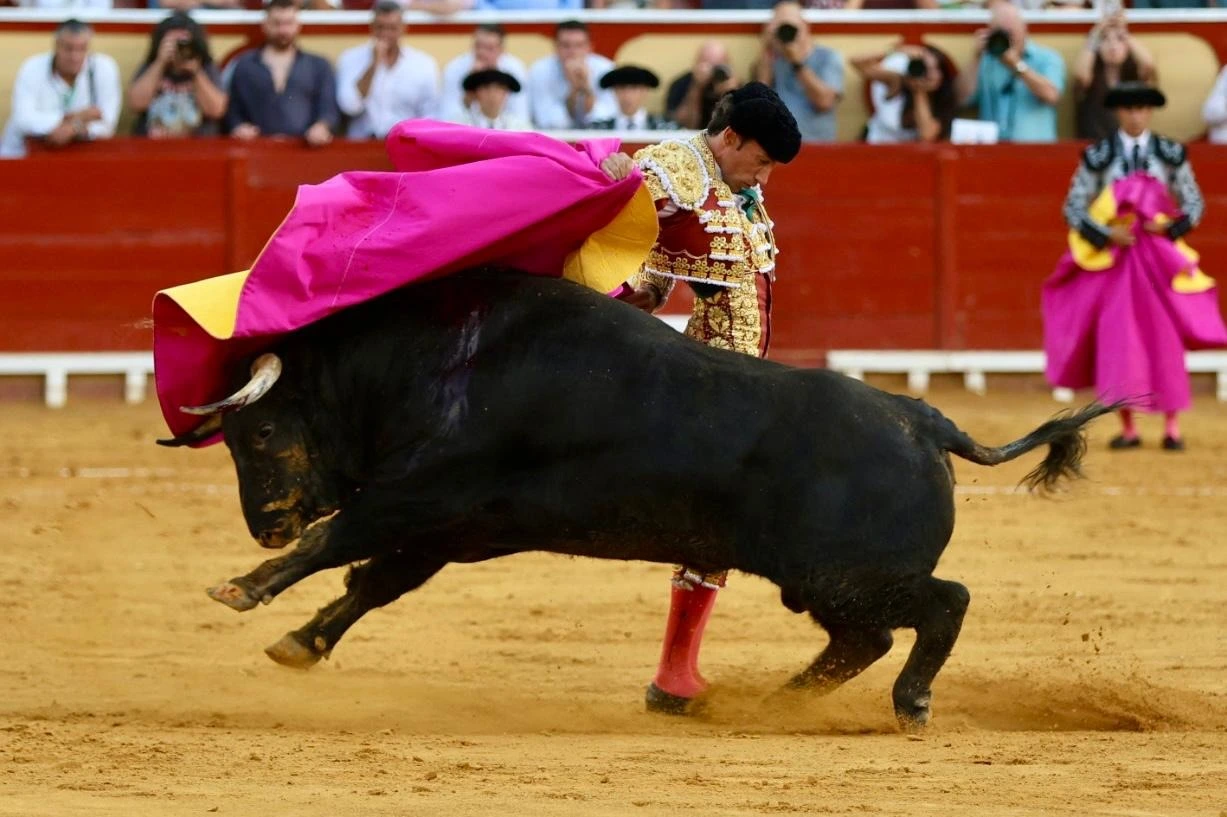 Imagen 11
