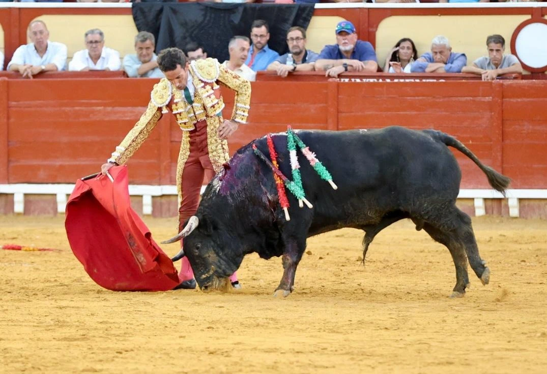 Imagen 12