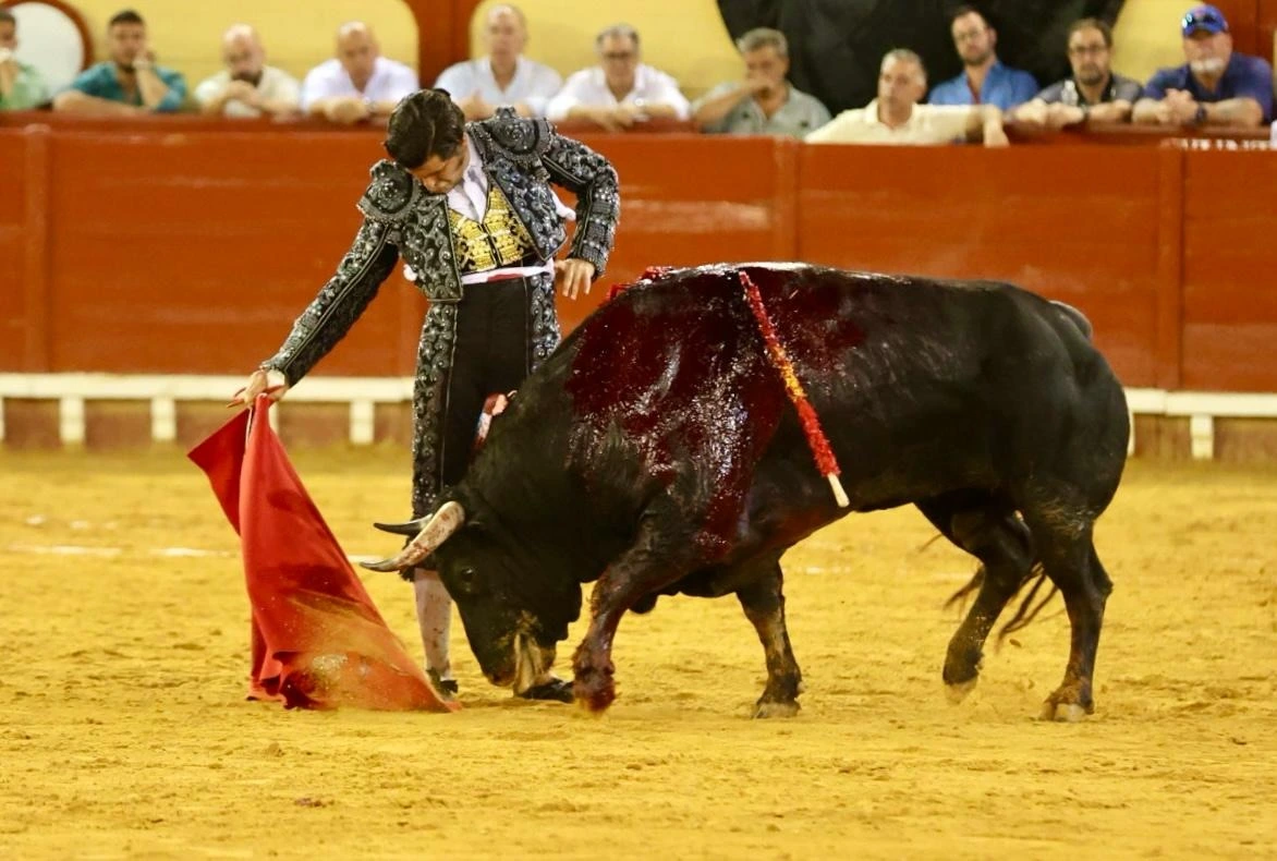 Imagen 16