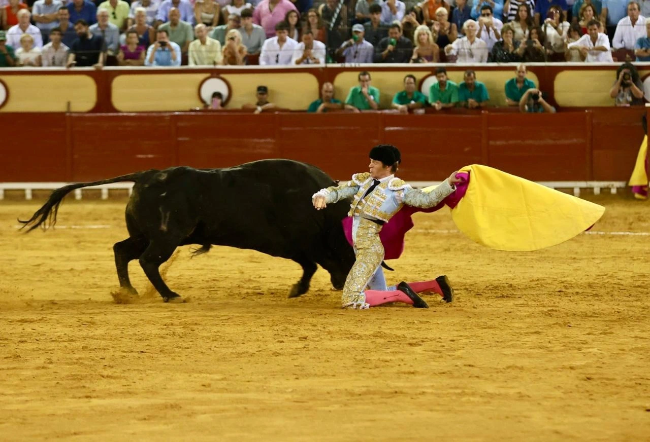 Imagen 19