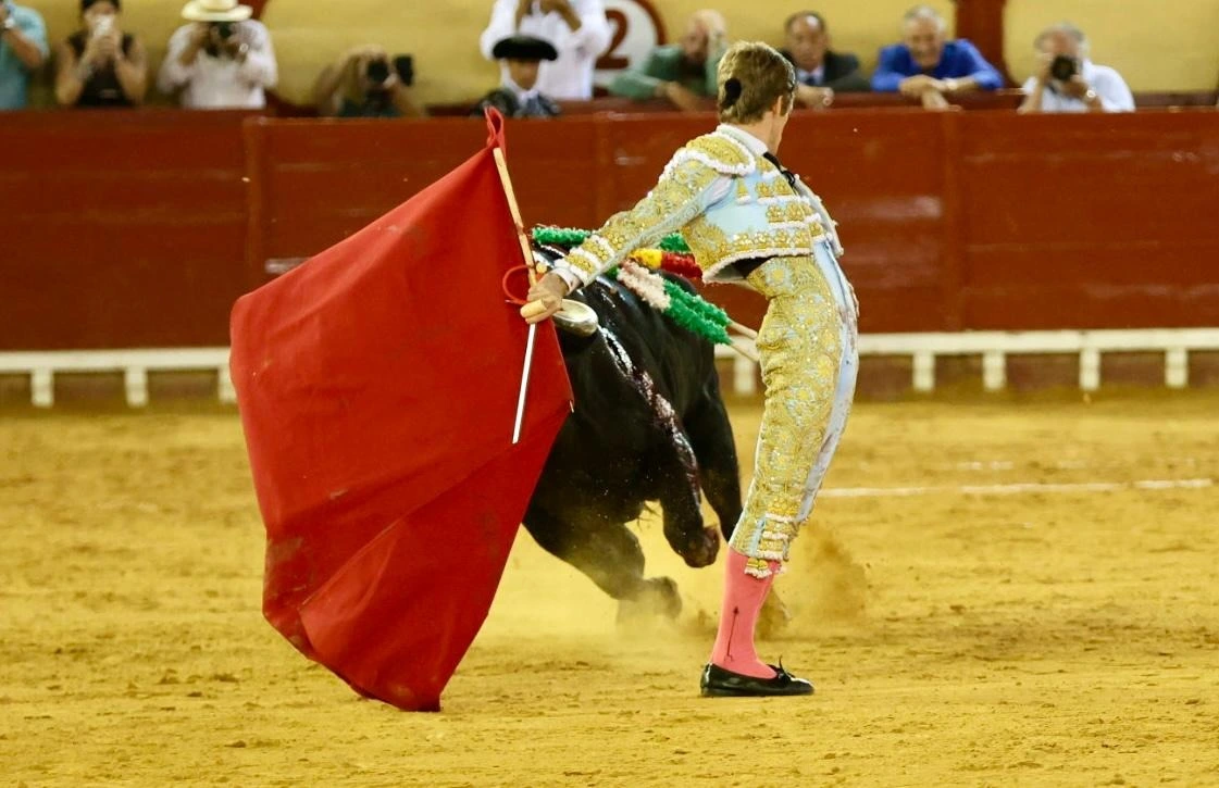 Imagen 20