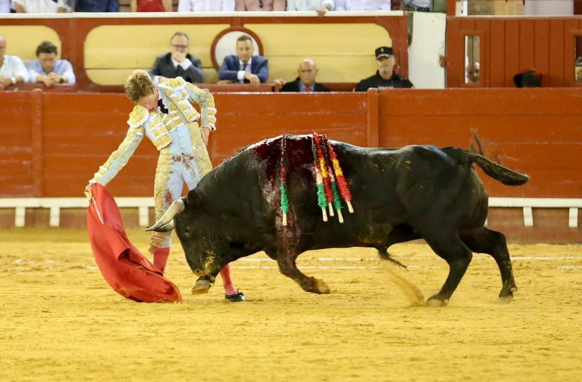 Imagen 21