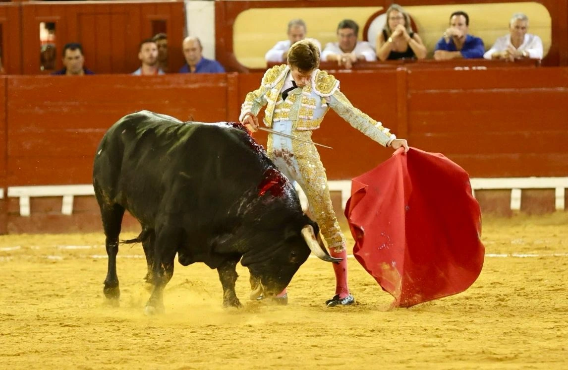 Imagen 23