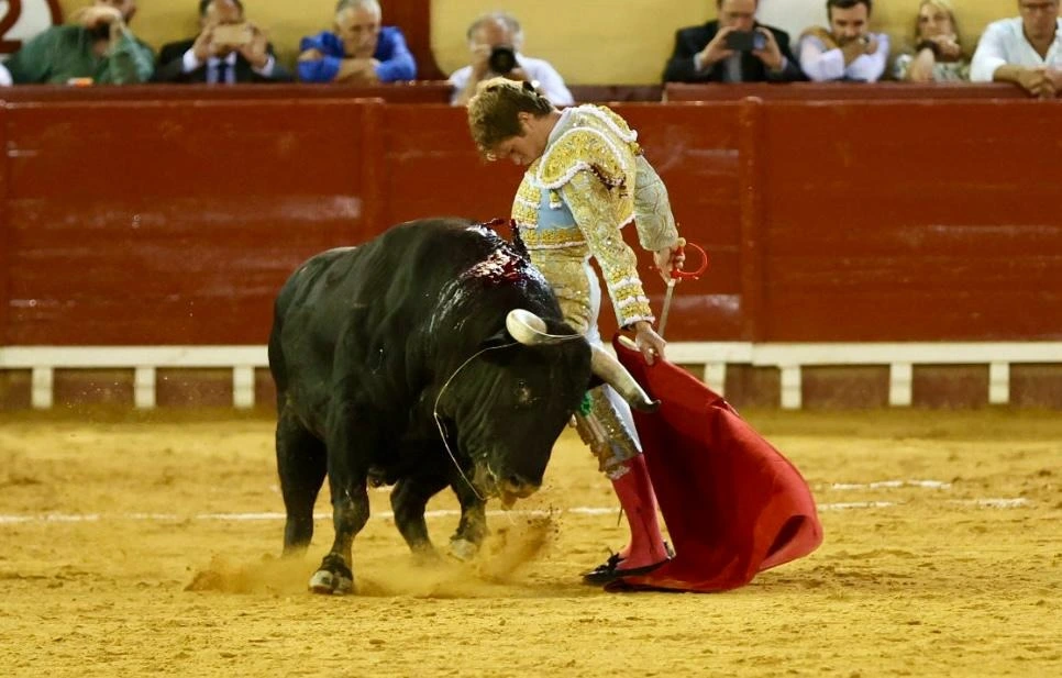 Imagen 27