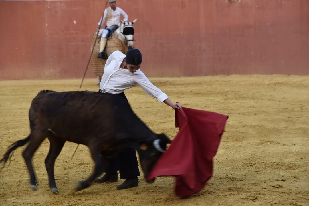 Imagen 5