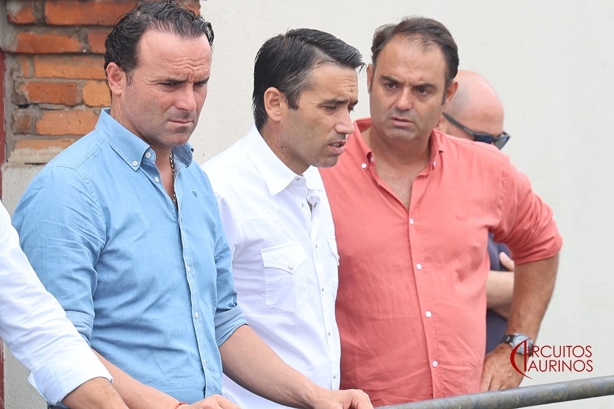 Imagen 6