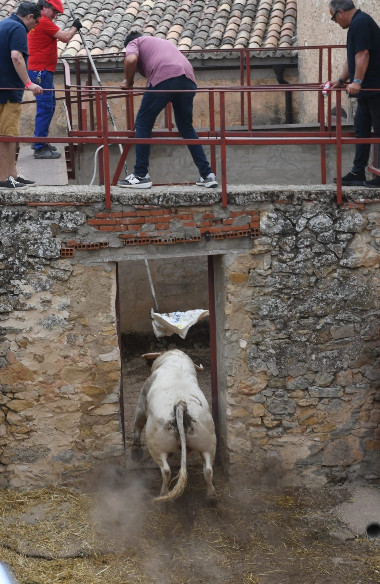Imagen 5