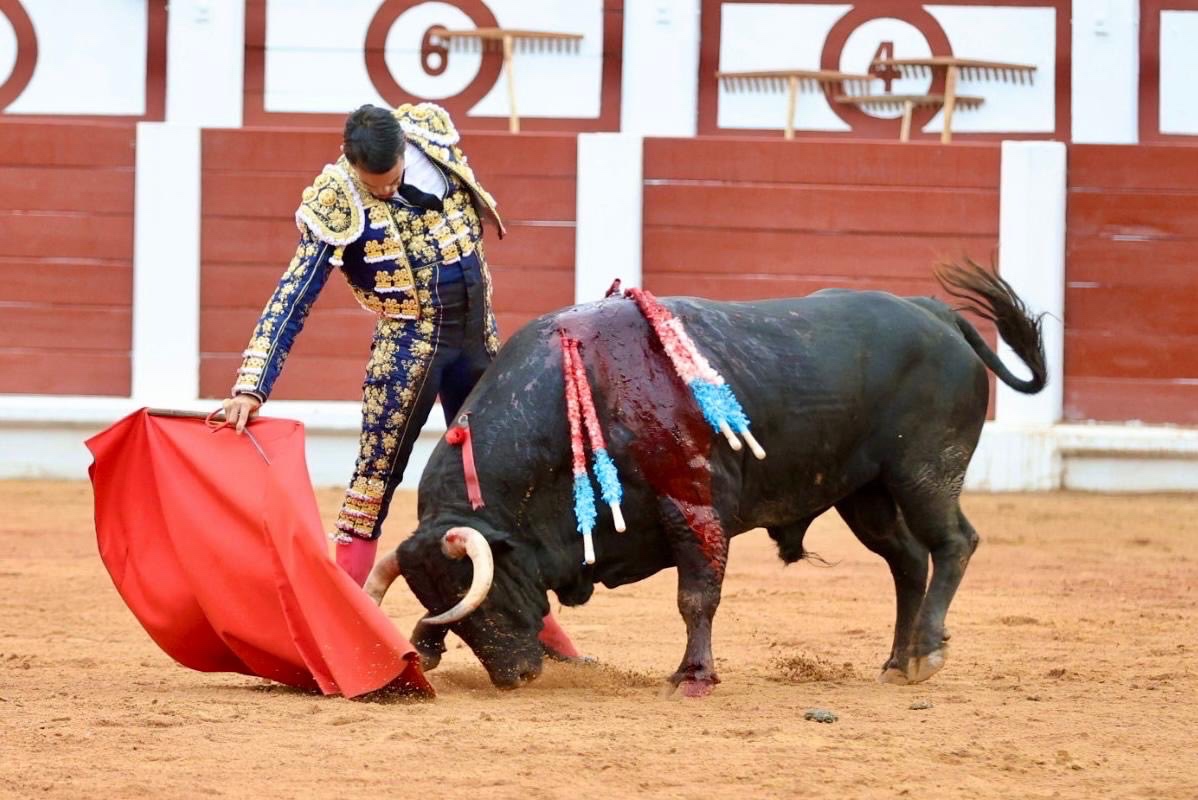Imagen 2