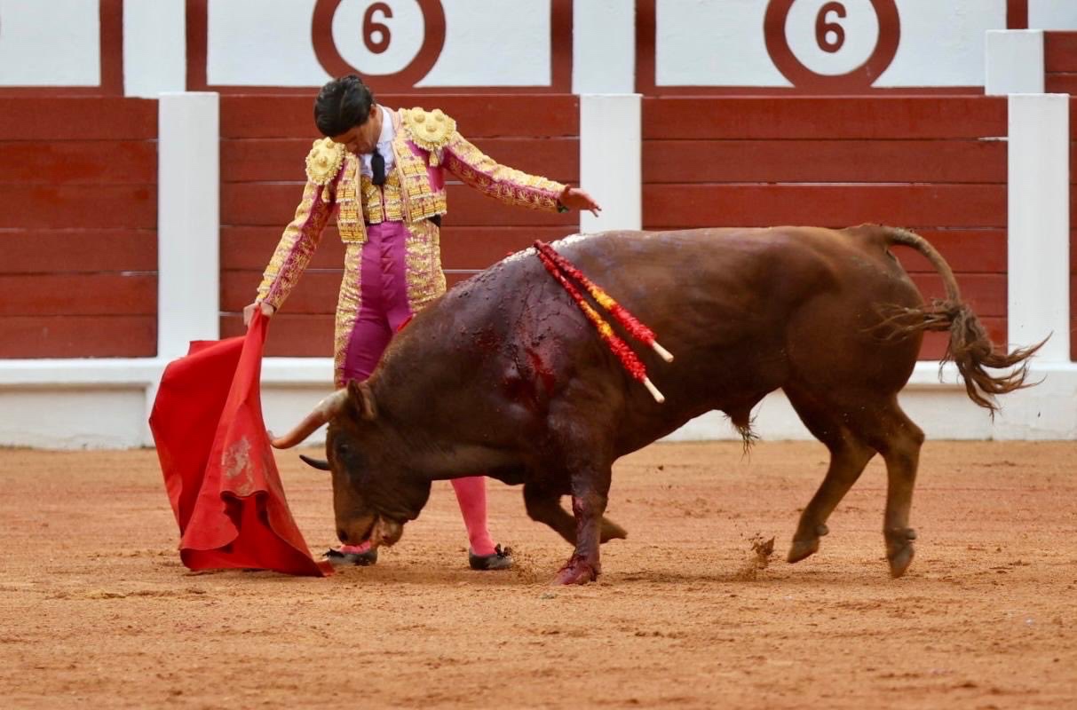Imagen 5