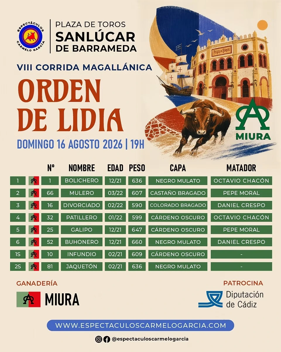 Imagen 8