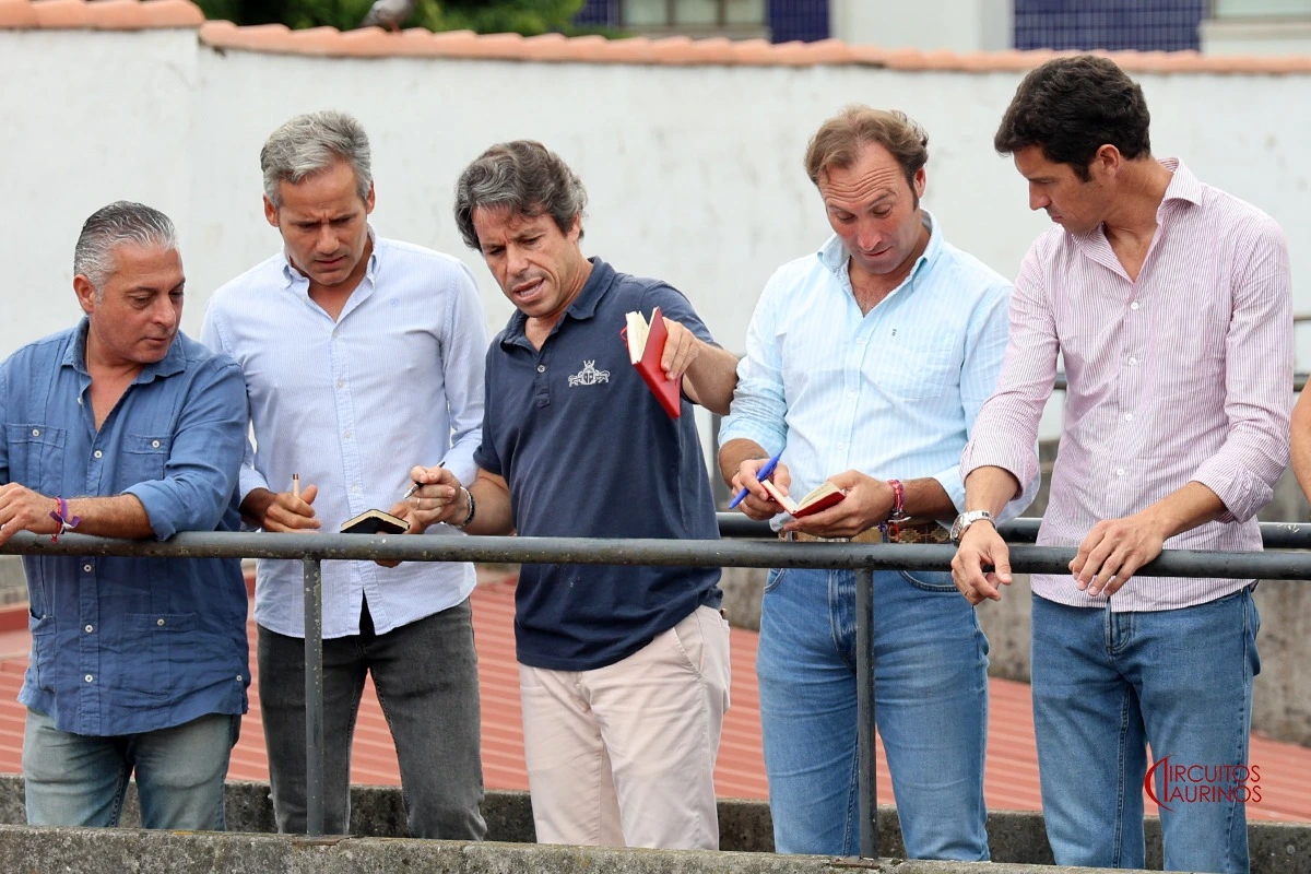 Imagen 10