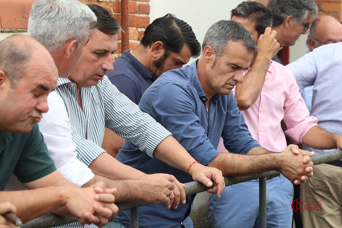 Imagen 16