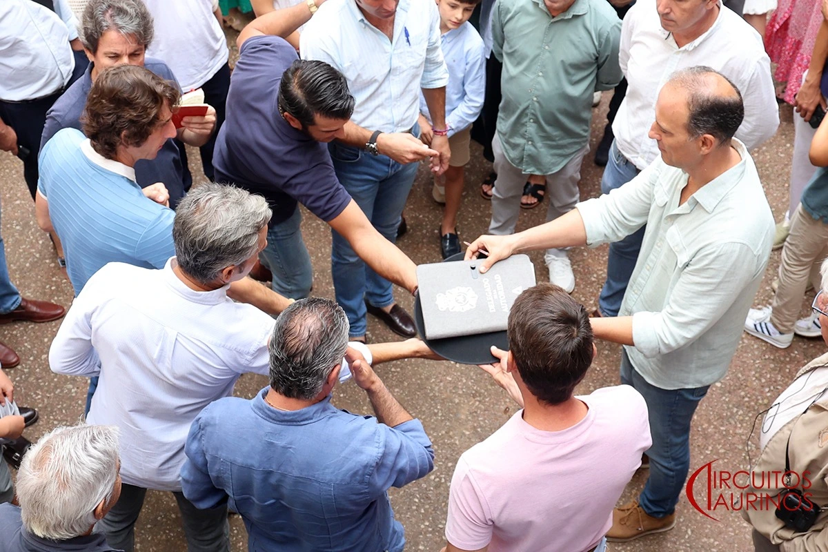 Imagen 21
