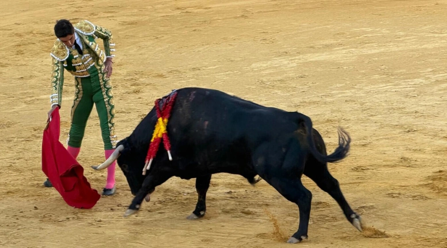 Imagen 2