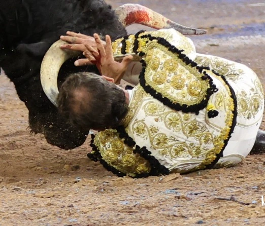 Imagen 2