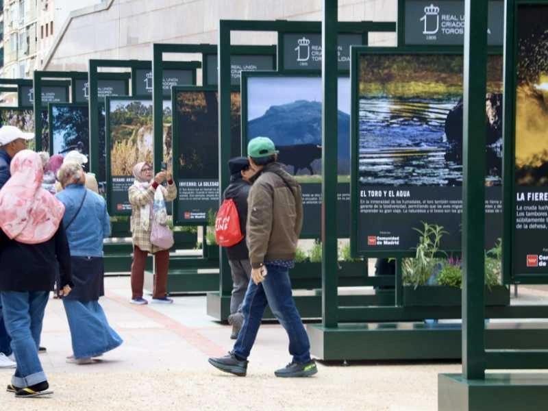 La RUCTL hace balance sobre el impacto de la exposición fotográfica itinerante «Toro Bravo, el guardián de la biodiversidad»