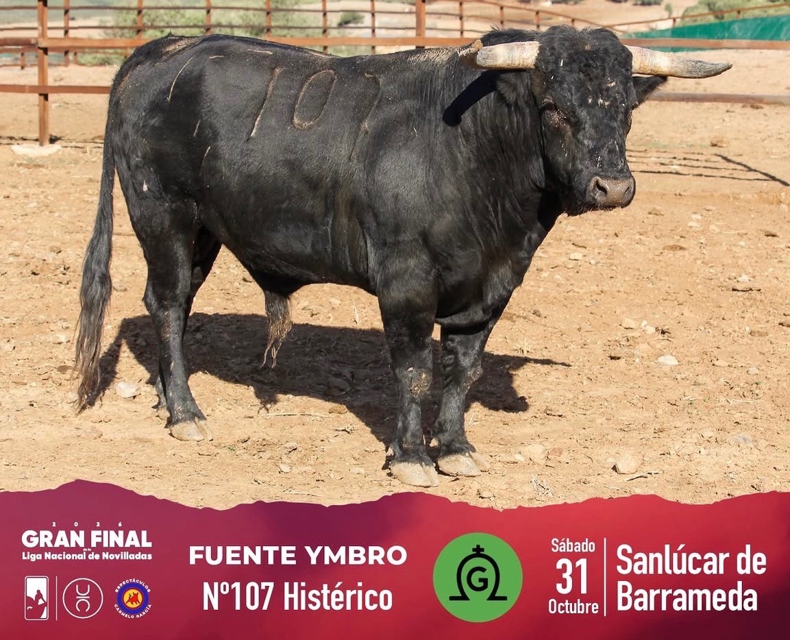 Imagen 2