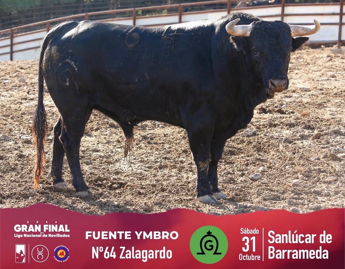Imagen 3