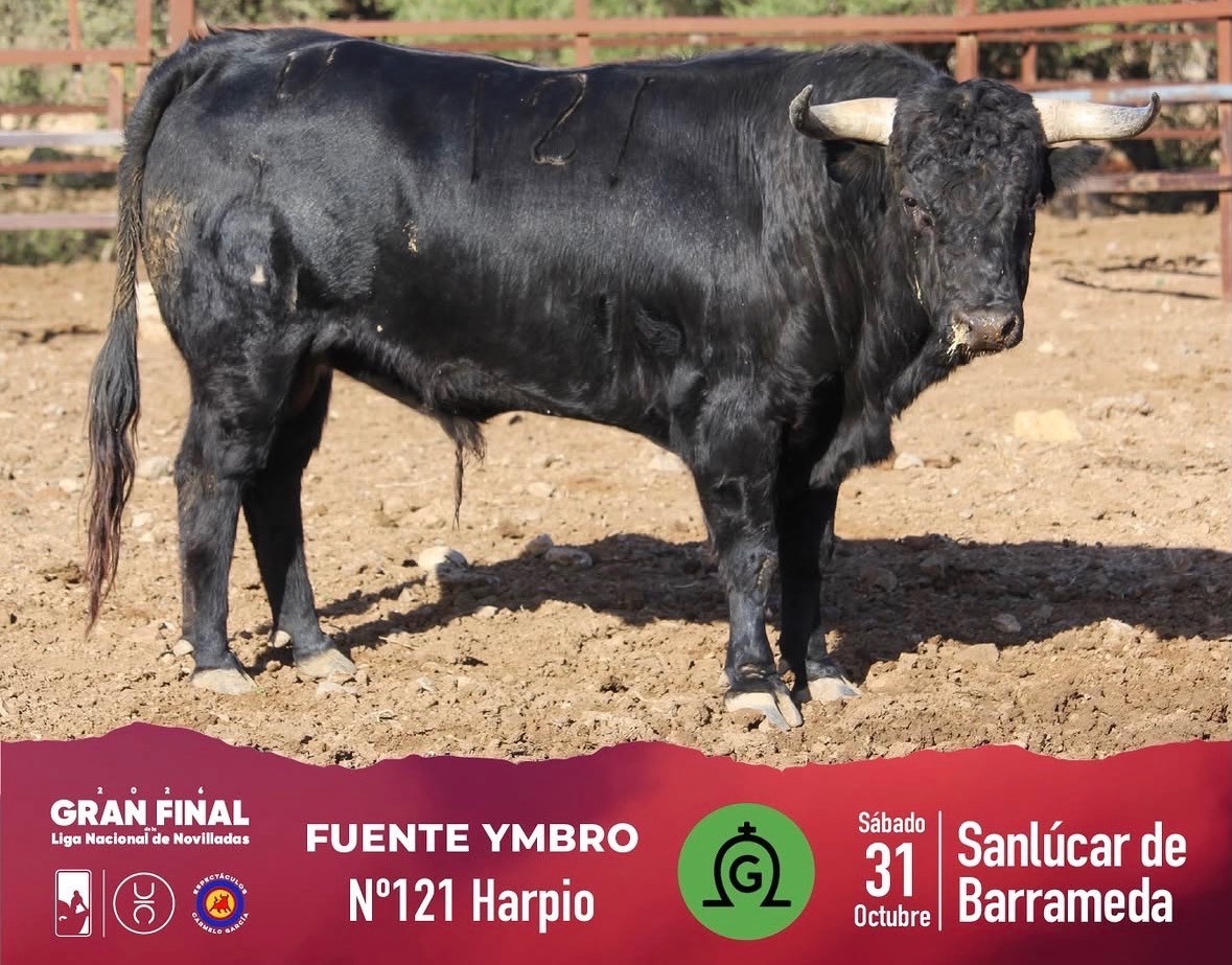 Imagen 4